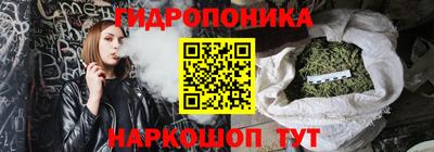 крисы Кандалакша
