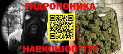 крисы Кандалакша