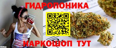 крисы Кандалакша