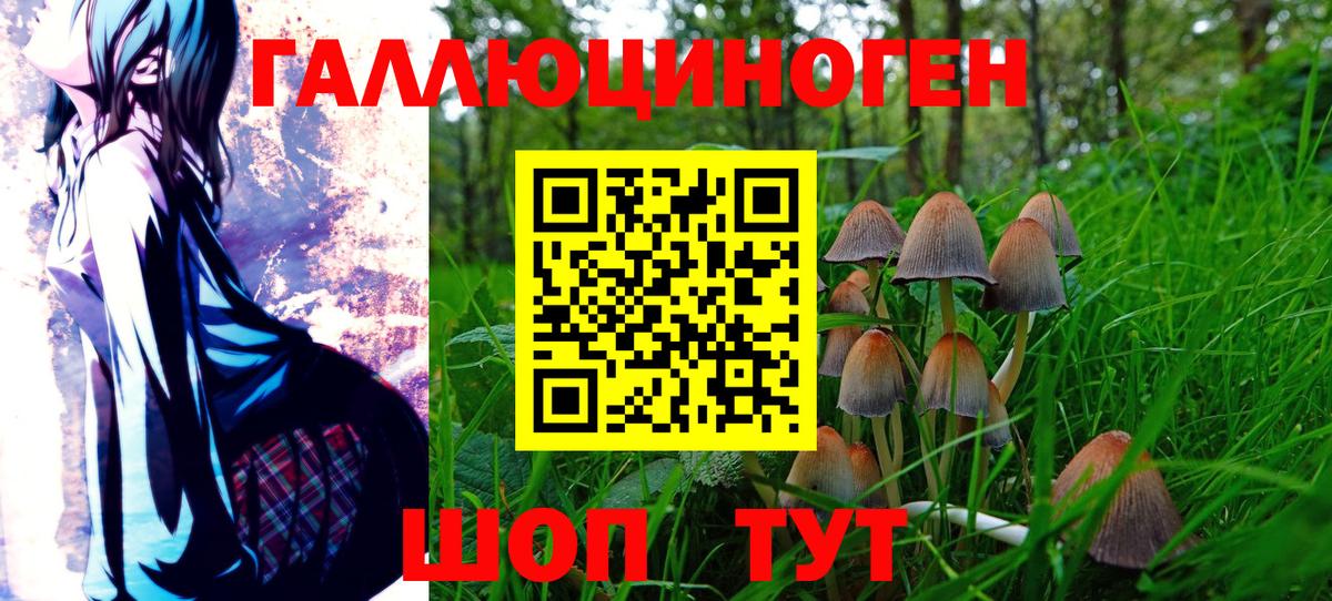 Галлюциногенные грибы Magic Shrooms  купить наркотик  Юрга  Вход с VPN 